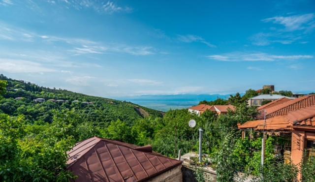 Dzveli Ubani Otel Siğnaği Dış mekan fotoğraf