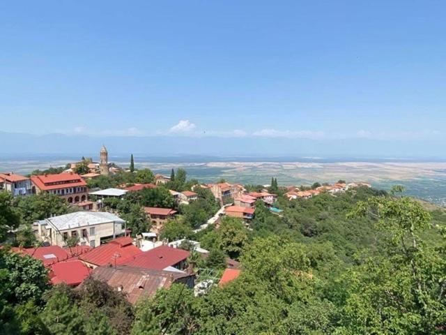 Dzveli Ubani Otel Siğnaği Dış mekan fotoğraf